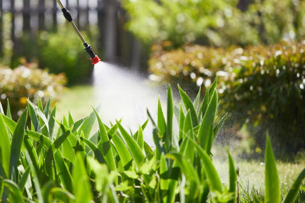 Tamper-Resistant Bait Stations for Rodents in Shenandoah