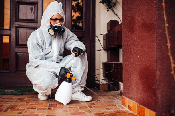 Attic and Crawl Space Rodent Treatment in Shenandoah