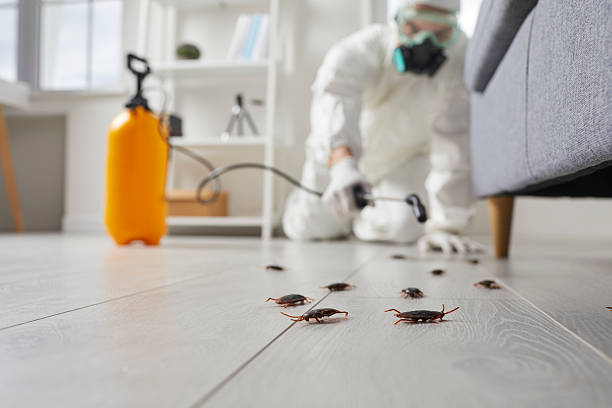 Commercial Rodent Management in Shenandoah